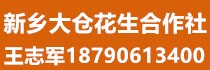 新乡市大仓花生合作联系人：王志军，18790613400